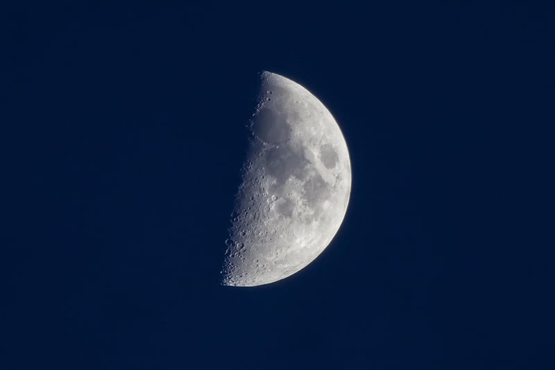 Lunar Affection